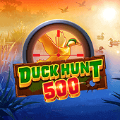 Duck Hunt 500
